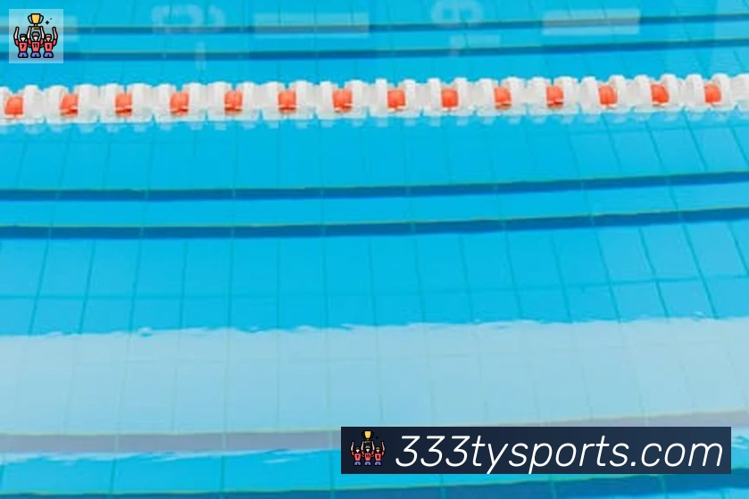 333体育平台生态图