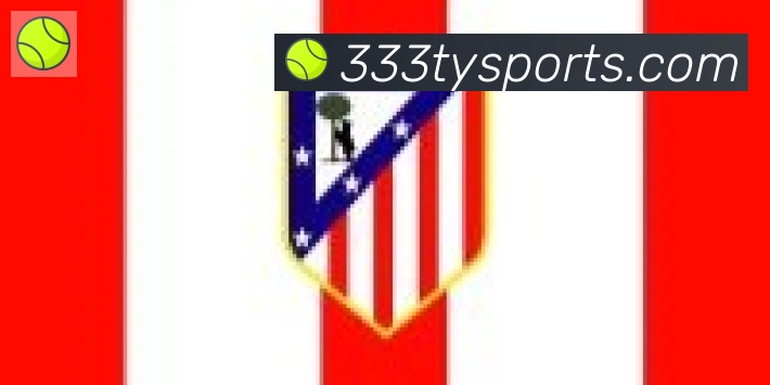 333体育合作伙伴