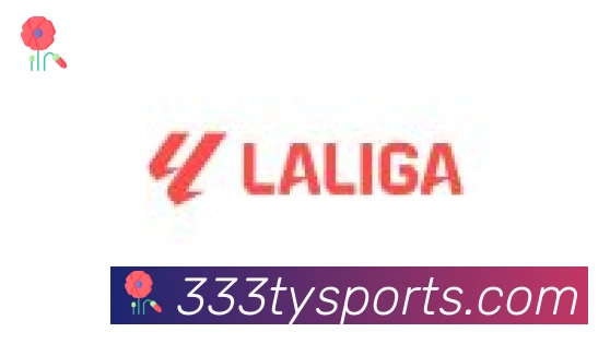 333体育合作伙伴