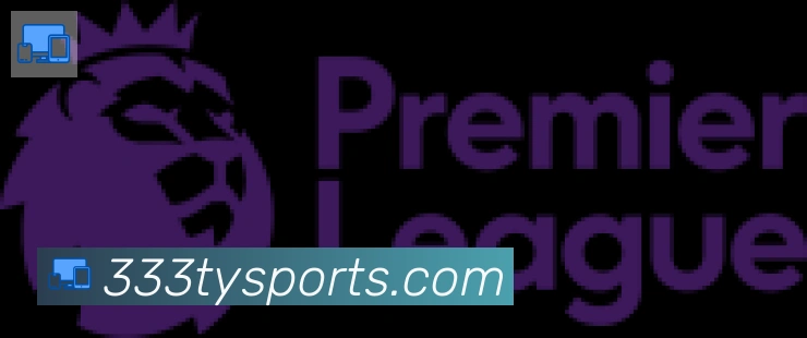 333体育合作伙伴